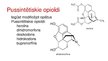 Prezentācija 'Opioīdi', 5.