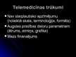 Prezentācija 'Telemedicīna. Medicīna pēc 50 gadiem', 42.