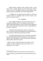 Referāts 'Vai kolektīvie iepirkšanās portāli ietekmē tūrismu Latvijā', 8.