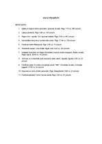 Referāts 'Vai kolektīvie iepirkšanās portāli ietekmē tūrismu Latvijā', 46.