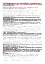 Konspekts 'Ķīmiskās vielas ikdienas precēs', 8.