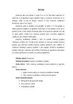 Referāts 'Investīciju novērtēšanas metodes', 3.