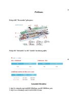 Prakses atskaite 'Prakses atskaite', 54.