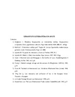 Referāts 'Moderna "Lex mercatoria" vieta mūsdienīgā tiesību sistēmā', 13.