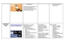 Konspekts 'Fizika medicīnā', 4.