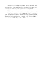 Konspekts 'Japānas, Islandes un Horvātijas ekonomikas salīdzinājums', 3.