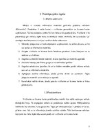 Referāts 'Priekšprojekta izpēte - vizītkarte', 3.