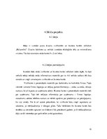 Referāts 'Priekšprojekta izpēte - vizītkarte', 10.