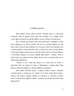 Referāts 'Priekšprojekta izpēte - vizītkarte', 11.