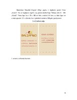 Referāts 'Priekšprojekta izpēte - vizītkarte', 15.