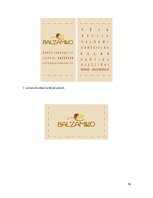 Referāts 'Priekšprojekta izpēte - vizītkarte', 16.