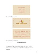 Referāts 'Priekšprojekta izpēte - vizītkarte', 17.