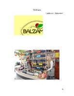 Referāts 'Priekšprojekta izpēte - vizītkarte', 19.