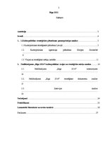 Referāts 'Kultūrpolitikas vīzija un stratēģiskie mērķi nodibinājumā "Rīga 2014"', 2.