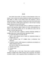 Referāts 'Kultūrpolitikas vīzija un stratēģiskie mērķi nodibinājumā "Rīga 2014"', 4.