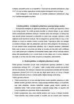Referāts 'Kultūrpolitikas vīzija un stratēģiskie mērķi nodibinājumā "Rīga 2014"', 5.