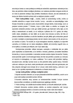 Referāts 'Kultūrpolitikas vīzija un stratēģiskie mērķi nodibinājumā "Rīga 2014"', 7.