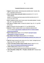 Referāts 'Kultūrpolitikas vīzija un stratēģiskie mērķi nodibinājumā "Rīga 2014"', 26.