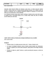 Diplomdarbs 'Tūrisma mārketinga koncepcijas izveide Aknīstes novadam', 33.
