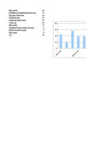 Diplomdarbs 'Tūrisma mārketinga koncepcijas izveide Aknīstes novadam', 68.