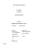 Paraugs 'Nostabilizēta horiznotāla lidojuma 1.uzdevums', 1.