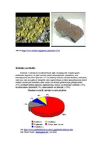 Referāts 'Kadmijs', 8.