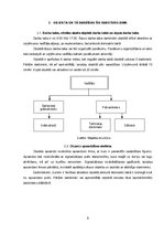 Konspekts 'Civilās aizsardzības plāns SIA "X"', 5.