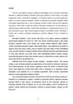 Diplomdarbs 'Uzņēmuma darbinieku motivācijas sistēmas analīze un uzlabošana', 8.