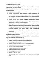 Diplomdarbs 'Uzņēmuma darbinieku motivācijas sistēmas analīze un uzlabošana', 26.