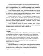 Referāts 'Mērdzenes pagasta raksturojums', 9.