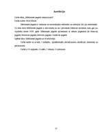 Referāts 'Mērdzenes pagasta raksturojums', 27.