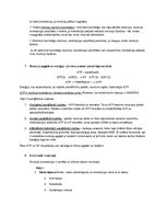 Konspekts 'Muskuļu fizioloģija', 4.