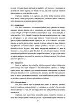 Prakses atskaite 'SIA "XXX" darbības raksturojums un analīze', 19.