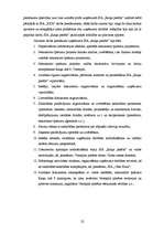 Prakses atskaite 'SIA "XXX" darbības raksturojums un analīze', 22.