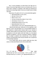 Referāts 'Pilsētas kultūras perspektīvas, piemērs - Rīga', 3.