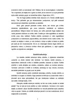 Referāts 'Pilsētas kultūras perspektīvas, piemērs - Rīga', 5.