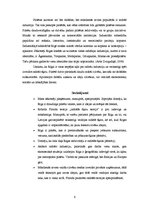 Referāts 'Pilsētas kultūras perspektīvas, piemērs - Rīga', 6.