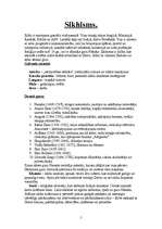 Konspekts 'Reliģijas', 5.