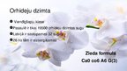 Prezentācija 'Viendīgļlapju klase - orhideju un liliju dzimta', 10.