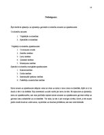 Konspekts 'Civiltiesību vispārējās un speciālās apakšnozares', 16.