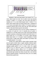 Referāts 'Mārketinga pētījums: žurnāla "Arka" mērķauditorijas noteikšana', 6.