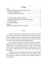 Referāts 'Motivācija Valsts policijas darbā', 1.