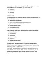 Referāts 'SIA "XXX" finanšu analīze', 2.