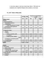 Referāts 'SIA "XXX" finanšu analīze', 4.