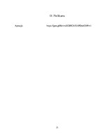 Referāts 'Jauniešu dusmas, agresija skolā', 21.