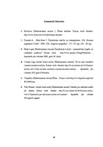 Referāts 'Interneta žurnālistika', 8.