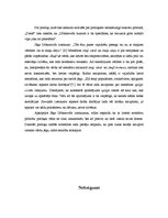 Referāts 'Dažu Latvijas politiķu metaforu izmantojums runā', 14.