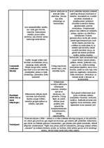Konspekts 'Sievietes attēlojums romantisma, reālisma un modernisma gleznās', 2.