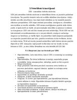 Referāts 'Galvenie konfliktu iemesli starp vecākiem un viņu bērniem 13 - 16 gados', 19.