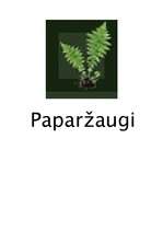 Konspekts 'Paparžaugu iedalījums', 2.